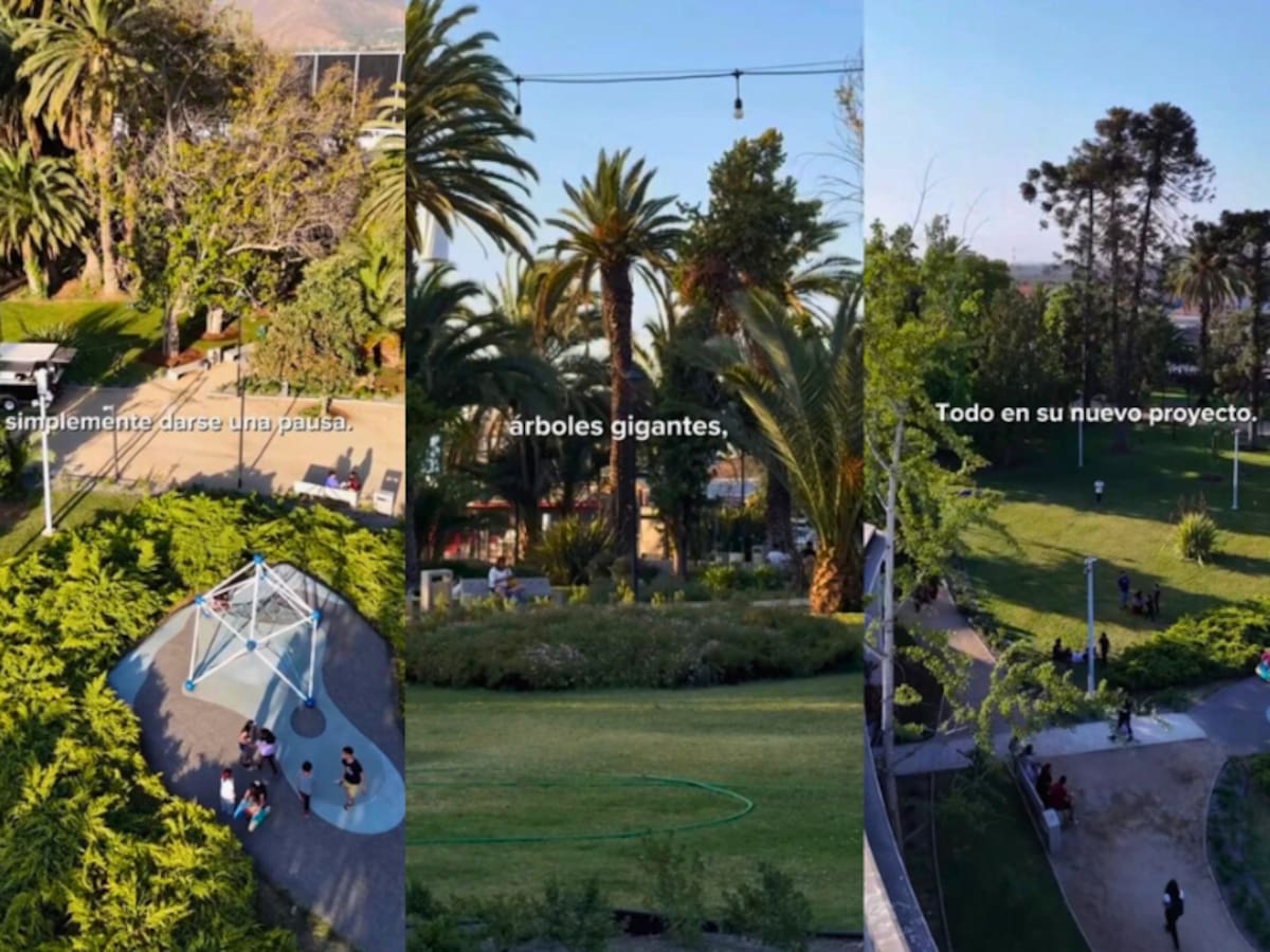 Estuvo cerrado por años y ahora es un pulmón verde de Santiago: así es el parque que reabrió sus puertas al público