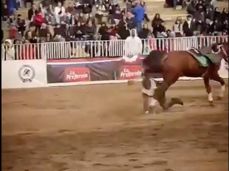 Actualizan estado de salud de Carabinero del Cuadro Verde que sufrió aparatosa caída durante show en La Reina