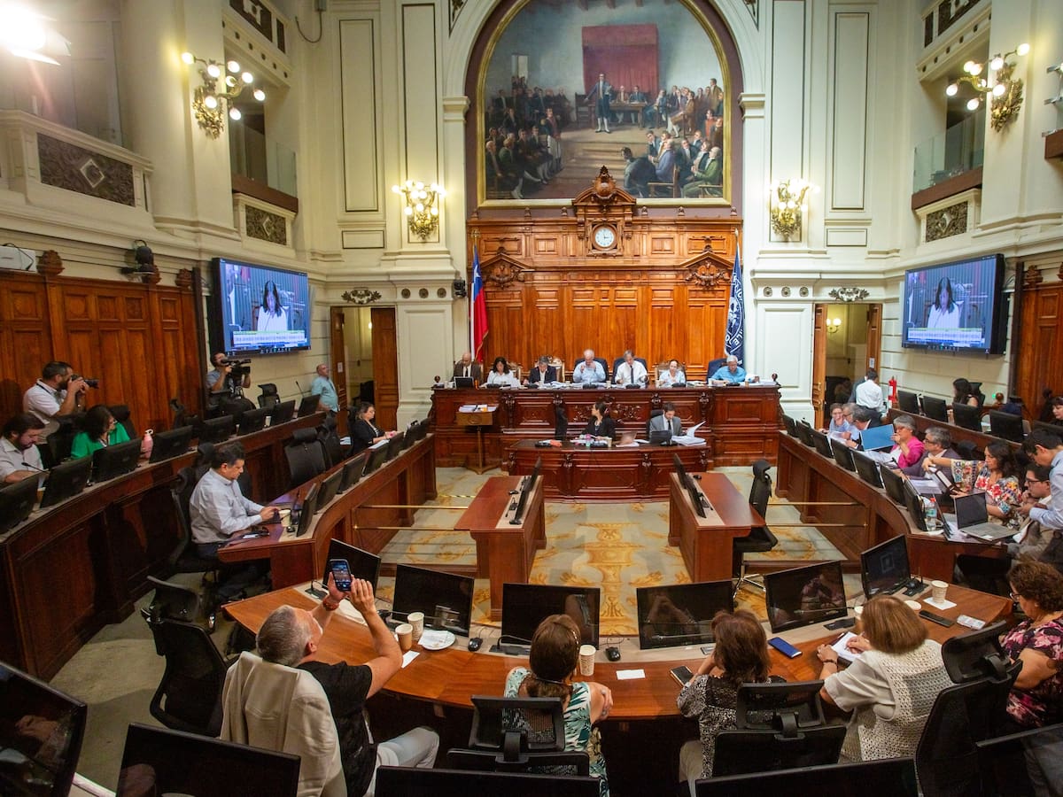 Comisión de Cultura del Senado aprueba proyecto que busca monumento para Sebastián Piñera en medio de críticas