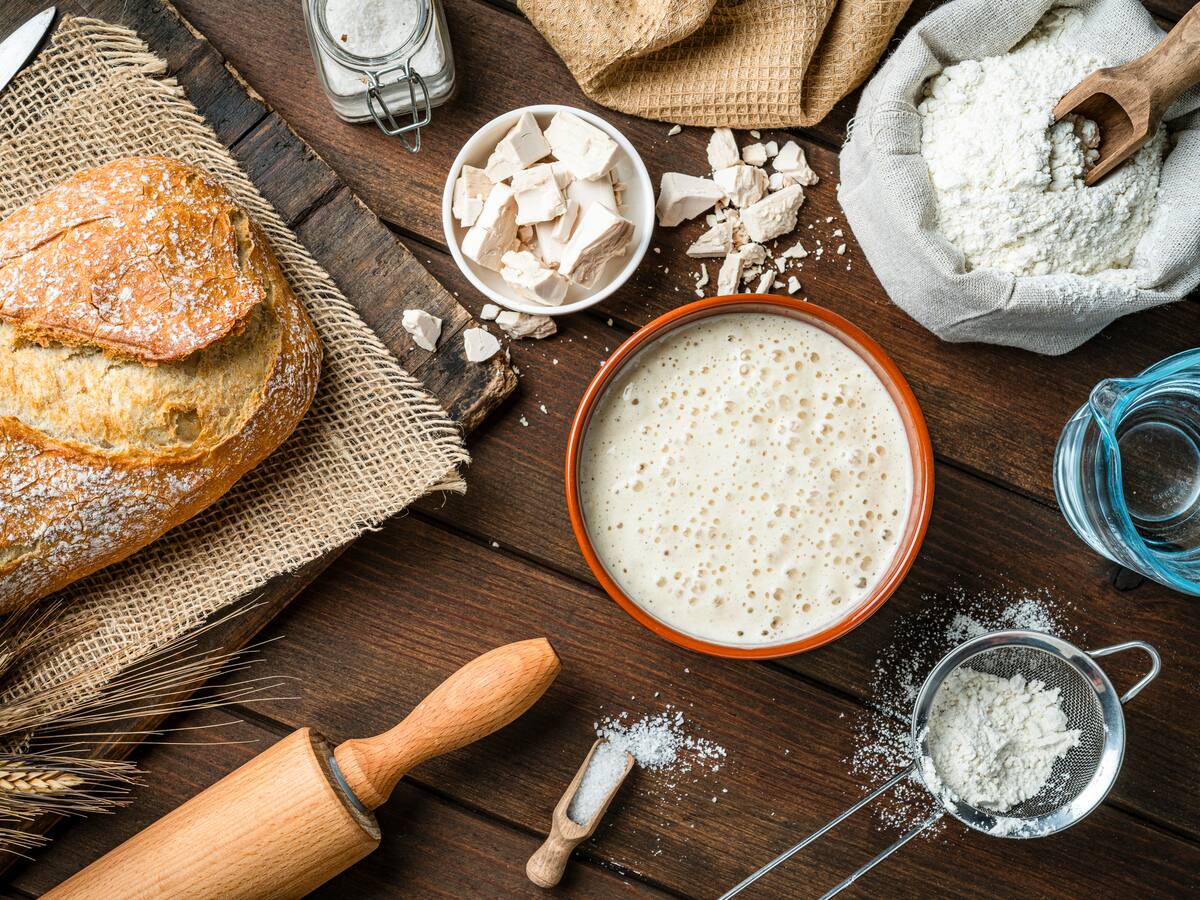 El secreto de los hongos chilenos: hallazgo científico está transformando el sabor de los alimentos y aporta a la salud