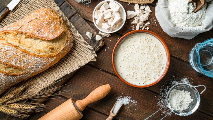 El secreto de los hongos chilenos: hallazgo científico está transformando el sabor de los alimentos y aporta a la salud