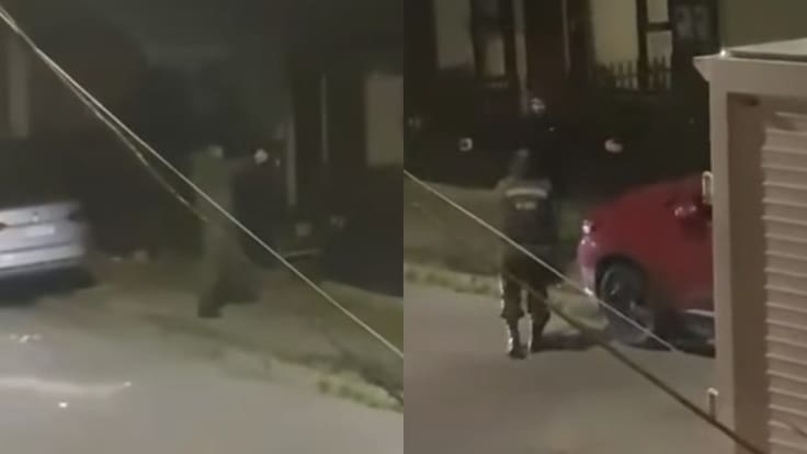 Carabinero repele a balazos ataque en su contra durante procedimiento por VIF en Llanquihue