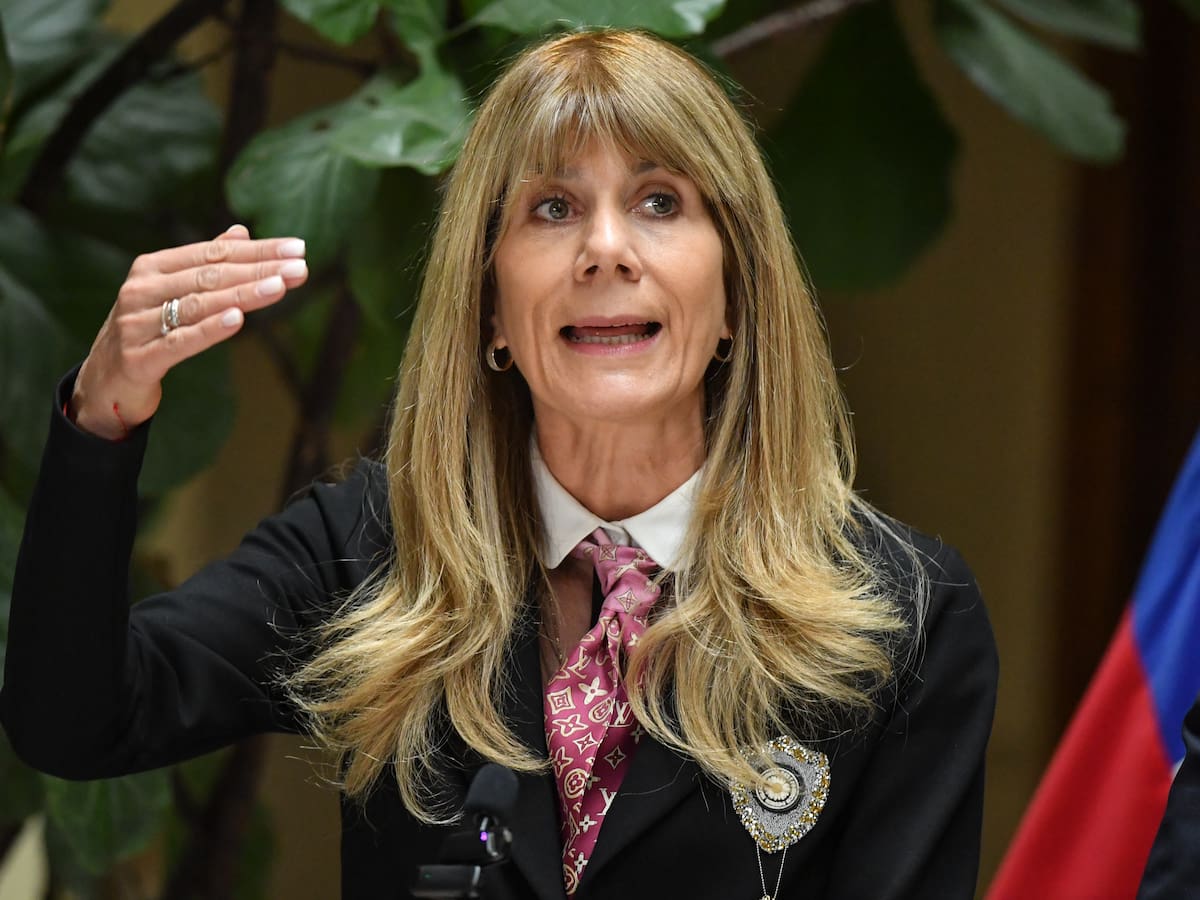 Avanza proyecto para estabilizar las tarifas eléctricas: ministra Rincón asegura que está resolviendo un “problema heredado”