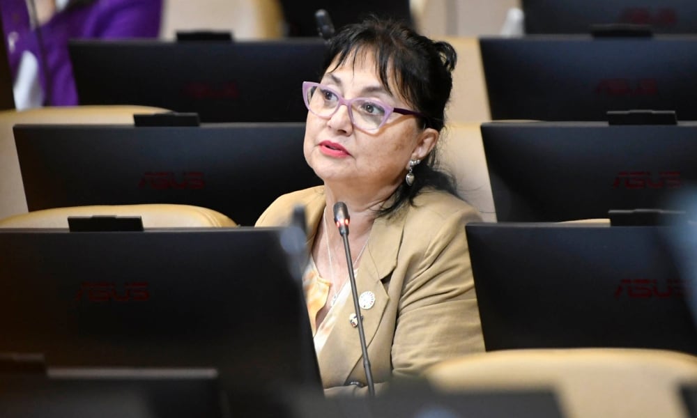 Agencia Uno | La diputada Carolina Marzán