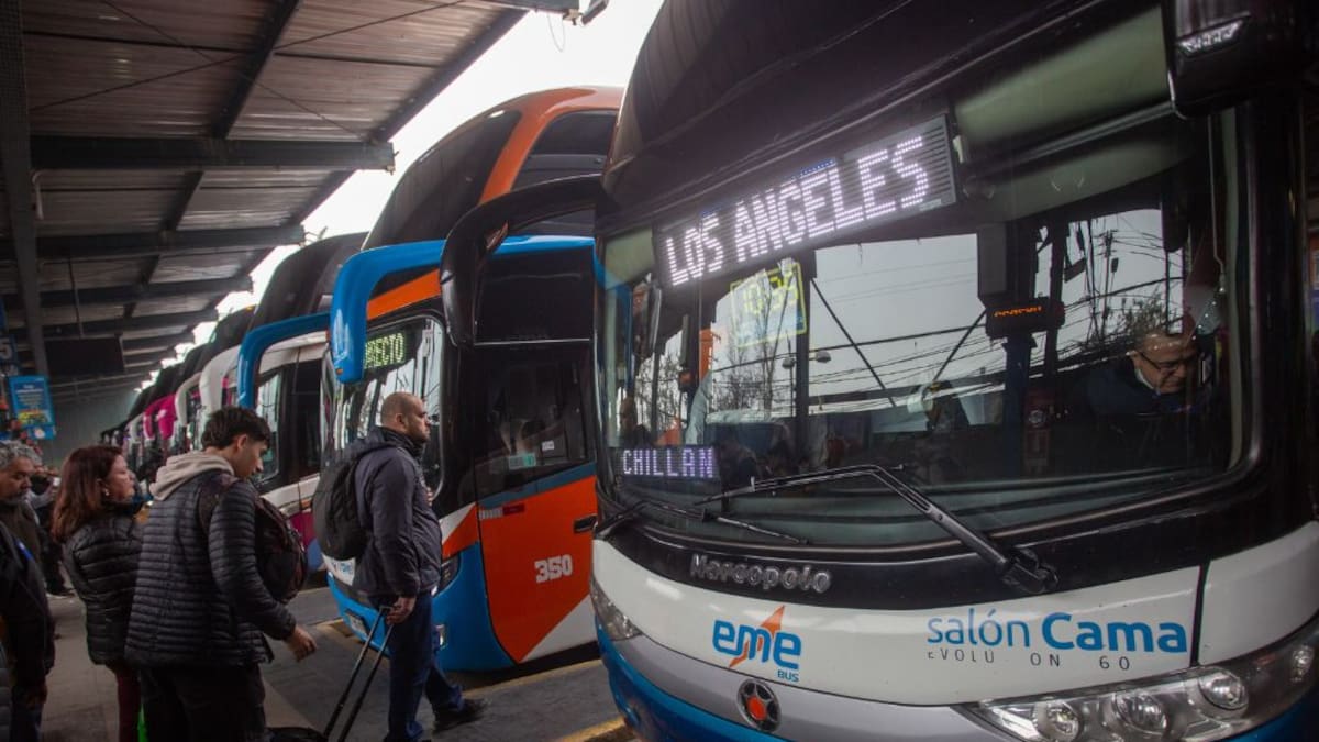 Al chileno le gusta ir cómodo: viajes en buses en Chile alcanzan histórica marca antes de Fiestas Patrias