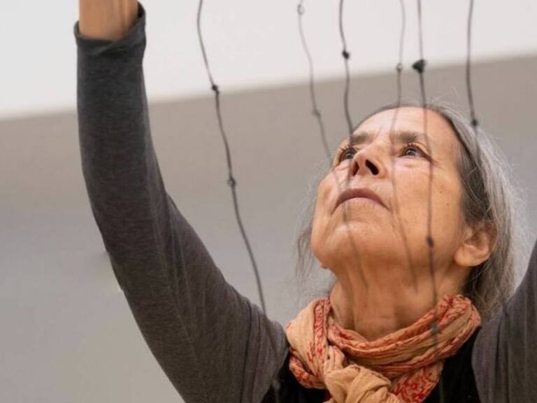 Cecilia Vicuña: «Veo con horror una campaña que está prácticamente imponiendo un Rechazo como un deber ciudadano»