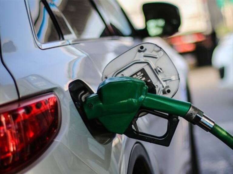 Autoridades llaman a cotizar precios del combustible en app y página web gratuita Bencina en Línea