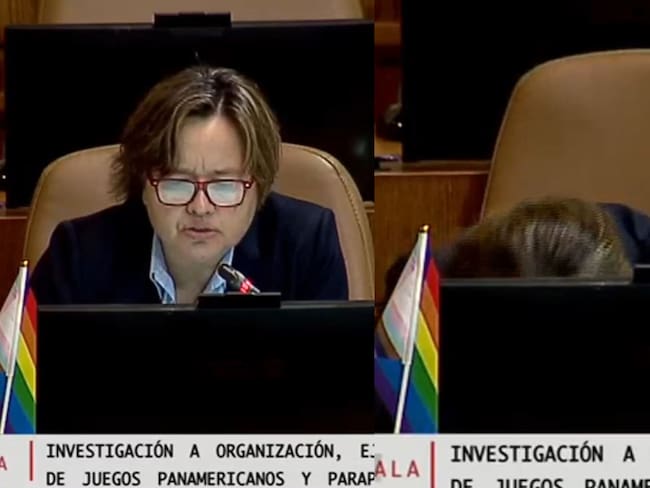 Preocupación en el Congreso: diputada Marcela Riquelme se desmaya durante discusión en Sala