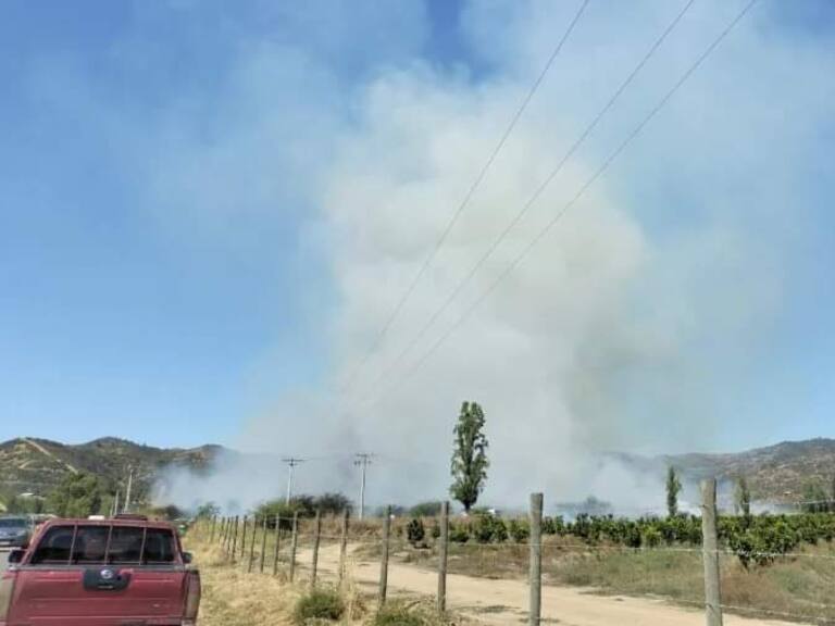 Senapred decreta alerta roja por incendio forestal en Las Cabras