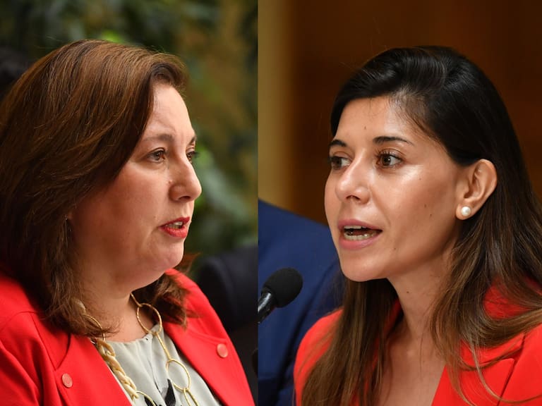 Quiebre en el PS por críticas a ministro de Hacienda: tensión entre Vodanovic y Cicardini reabre disputa interna