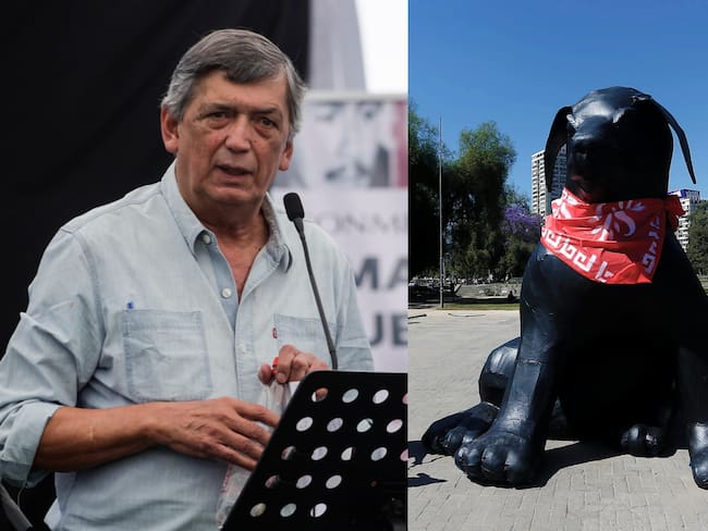 Presidente del Partido Comunista y discusión por “Perro Matapacos”: “Es un debate un poquito ocioso”