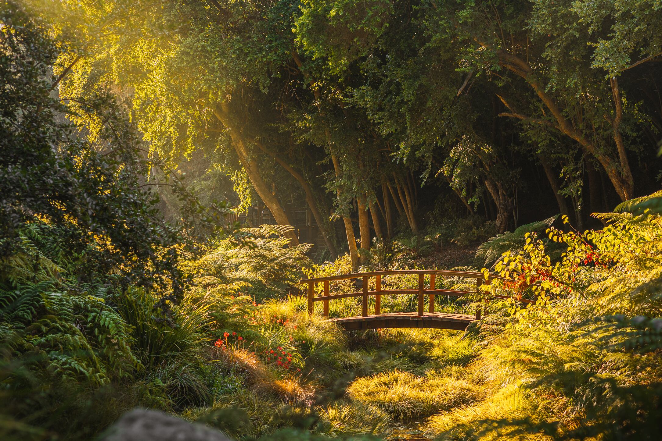 Foto: Parque Tricao.