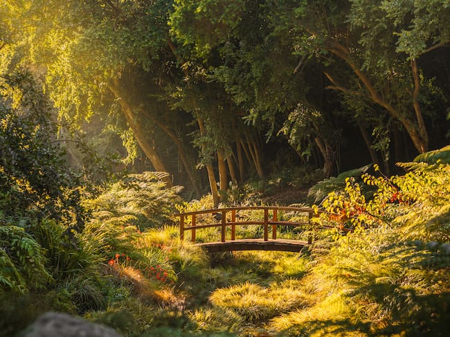 Foto: Parque Tricao.