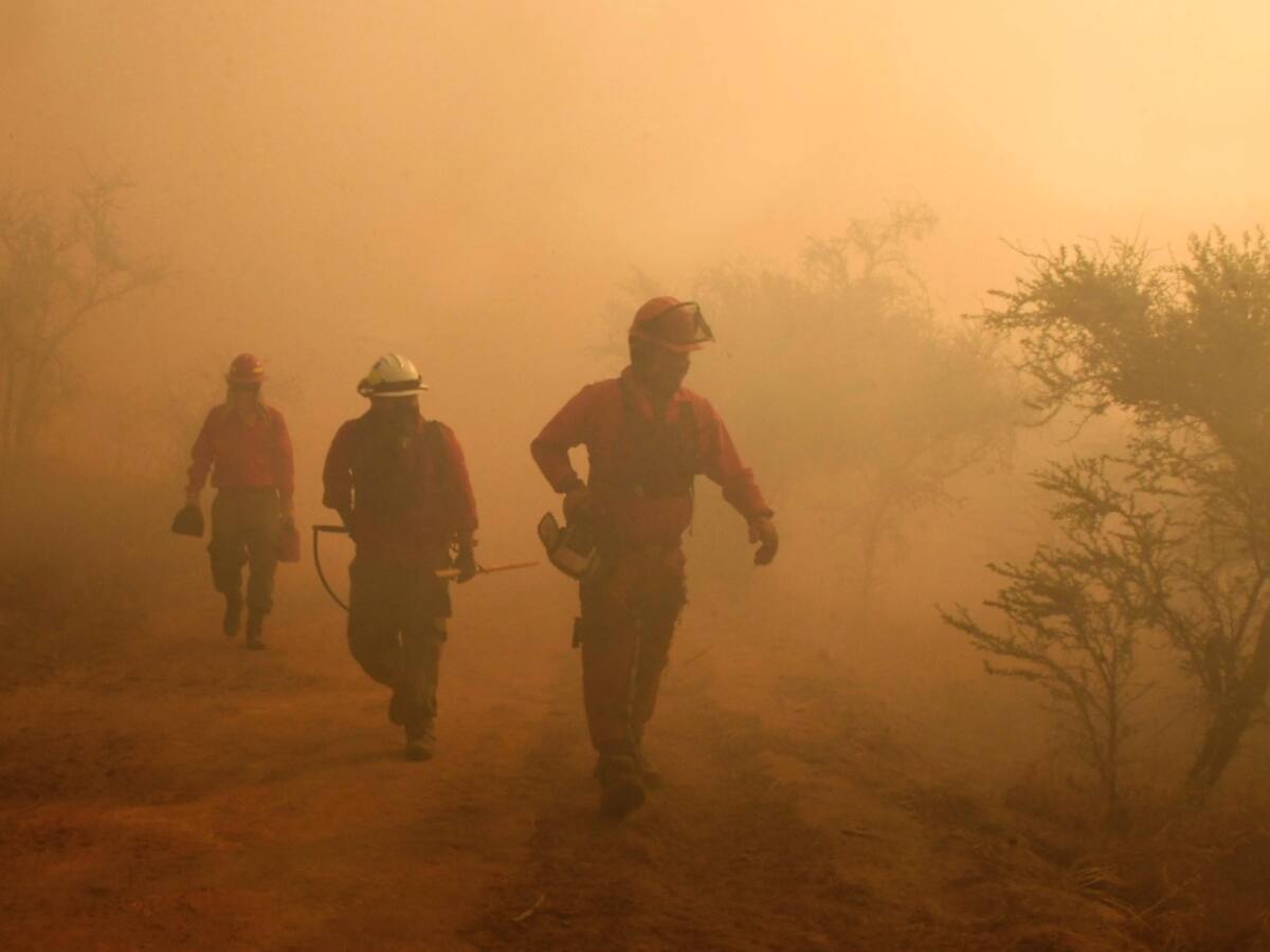 Los Lagos: seis sujetos han sido detenidos por delitos asociados a incendios forestales