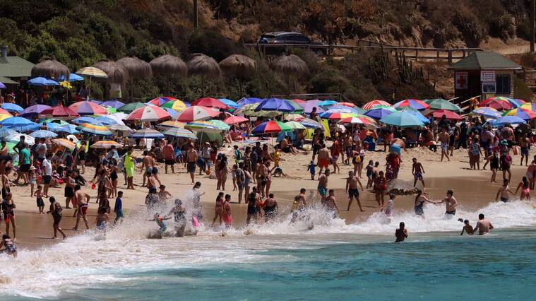 Epidemióloga sobre cifras "alentadoras"