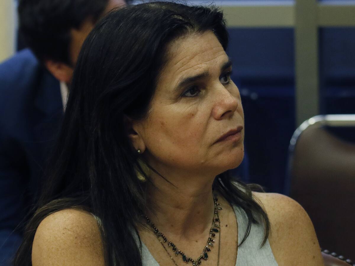 Diputada Ossandón argumentó el porqué propone ley seca mientras haya estado de excepción por coronavirus