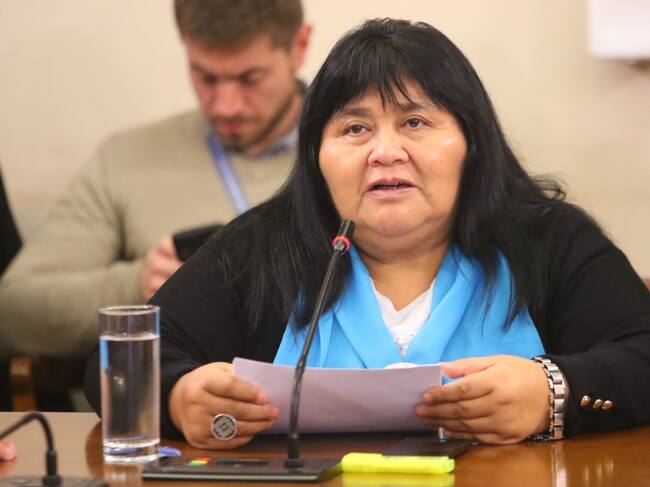 Agencia UNO | La diputada Emilia Nuyado