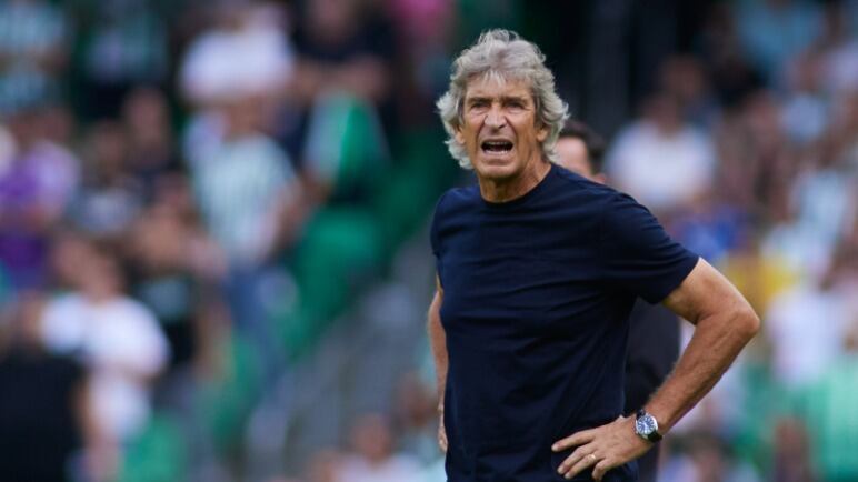 Manuel Pellegrini