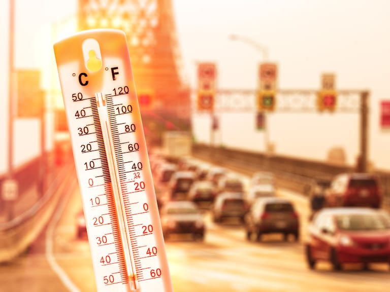 Enero del 2025 es el mes más caluroso registrado: La Niña no logró frenar el calor récord en la Tierra