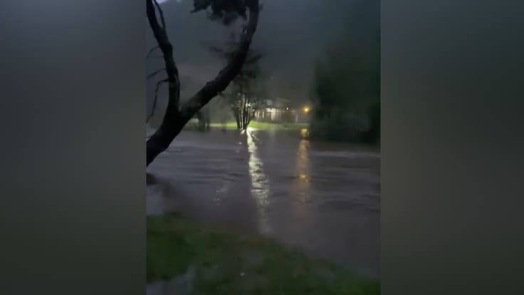 Ante llegada de nuevo sistema frontal: Senapred activa Alerta Roja en dos comunas de Los Ríos tras desborde de causes