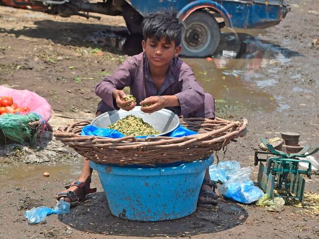 Un niño vende verduras en un mercado de Pakistán