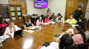 “Quedan muchos temas pendientes”: diputadas de la Comisión de Mujeres realizan balance de los avances en la agenda feminista del Gobierno