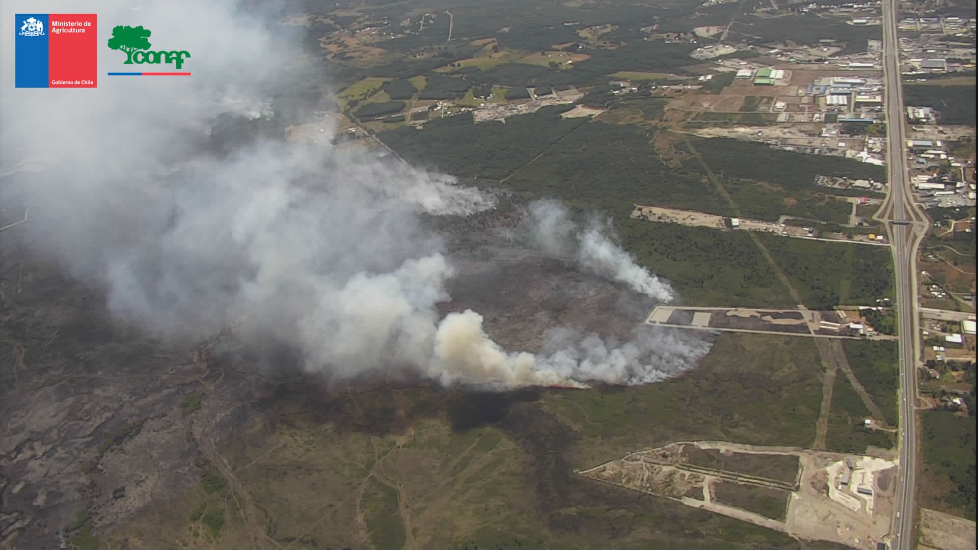 Incendio forestal en Puerto Montt: autoridades mantienen Alerta Roja por gran cantidad de hectáreas consumidas