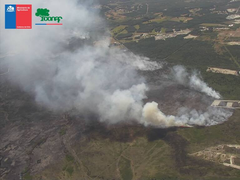 Incendio forestal en Puerto Montt: autoridades mantienen Alerta Roja por gran cantidad de hectáreas consumidas
