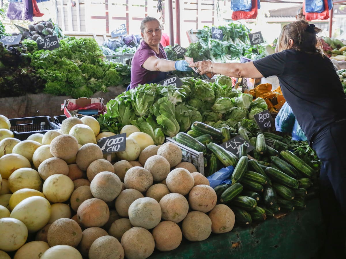 Así cambiarán las ferias libres: aprueban ley que impone distancia mínima para instalación y nuevo manejo de basura