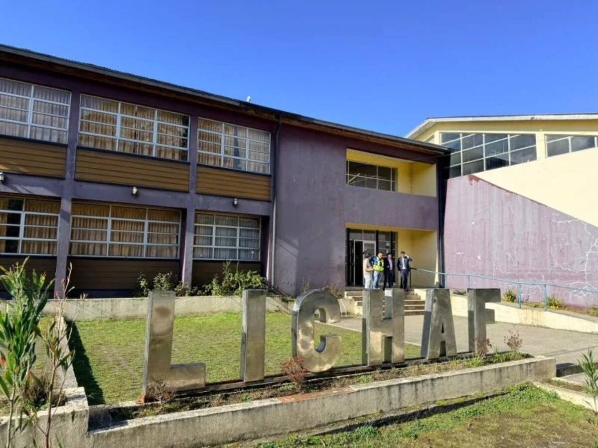 Murciélagos y roedores mantienen cerrado liceo de Frutillar desde hace tres semanas: apoderados piden ayuda al municipio