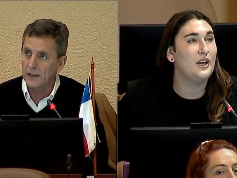 «Jamás podrá abortar»: los dichos transfóbicos de Gonzalo de la Carrera contra Emilia Schneider durante sesión de la Cámara