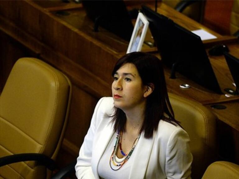 Polémica en la Cámara Baja: Pedro Velásquez trató a la diputada Pérez de «mijita»