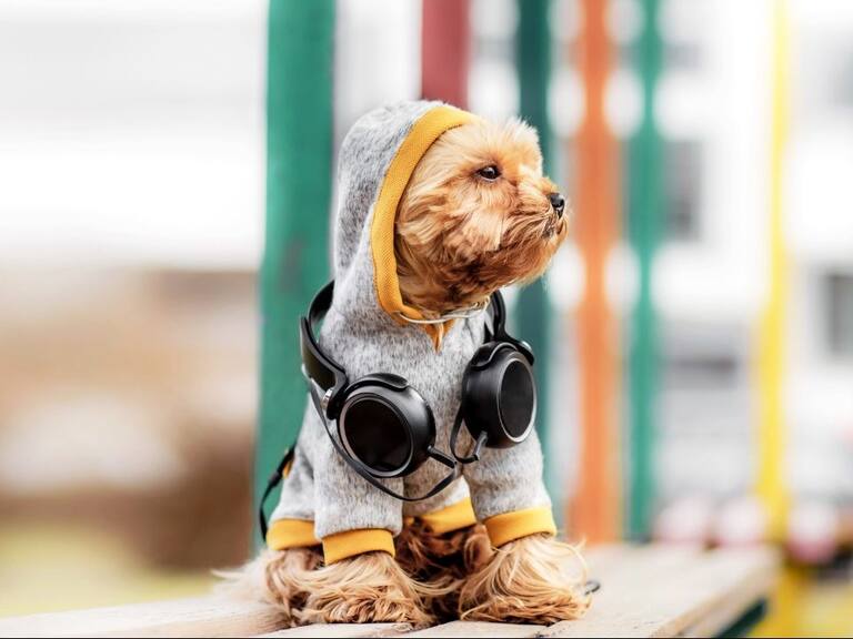 Expopet 2022: un panorama especial para pasar con la familia y las mascotas