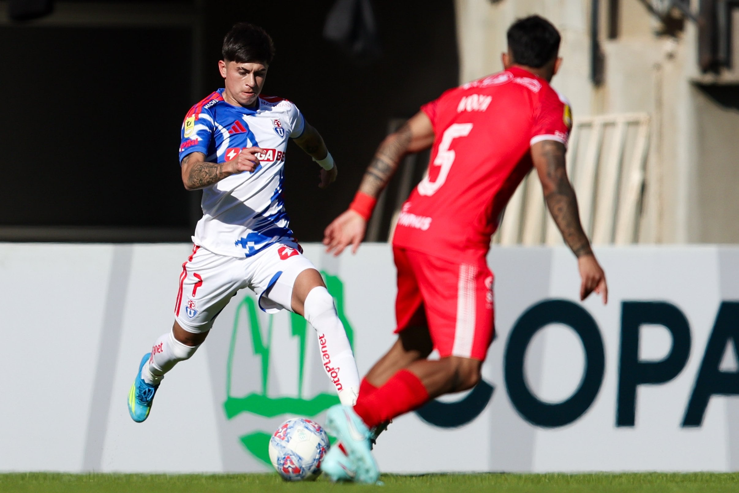 @udechile