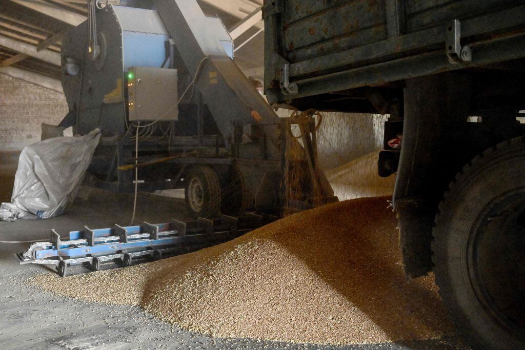 Centro de almacenaje de cereales en la región de Zaporizhzhia en Ucrania