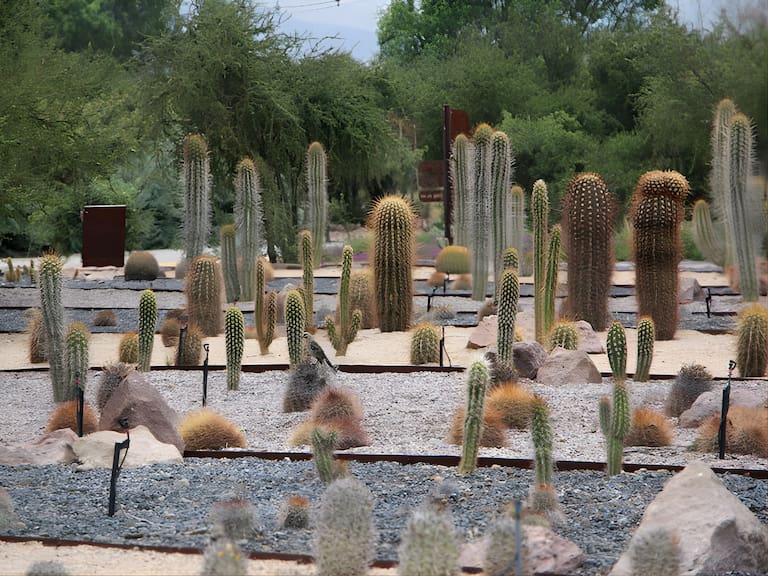Parque Jardín Botánico Quilapilún en Tu Nuevo ADN