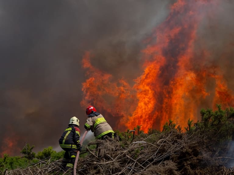 Hombre fue detenido tras iniciar incendio forestal en Pitrufquén: una persona se encuentra en riesgo vital a causa de las llamas