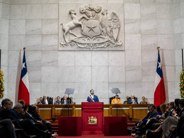 Carolina Gainza - TNA