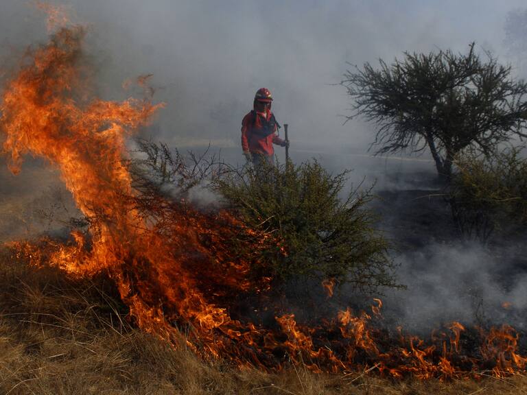 Prisión preventiva para sujeto acusado de iniciar incendios forestales en Villa Alemana