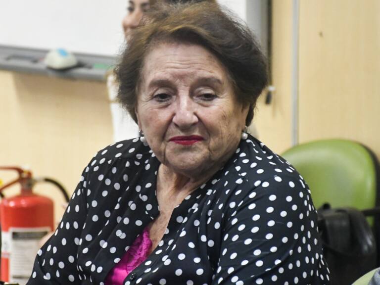 Corte de Santiago acoge solicitud: Diputada María Luisa Cordero es desaforada