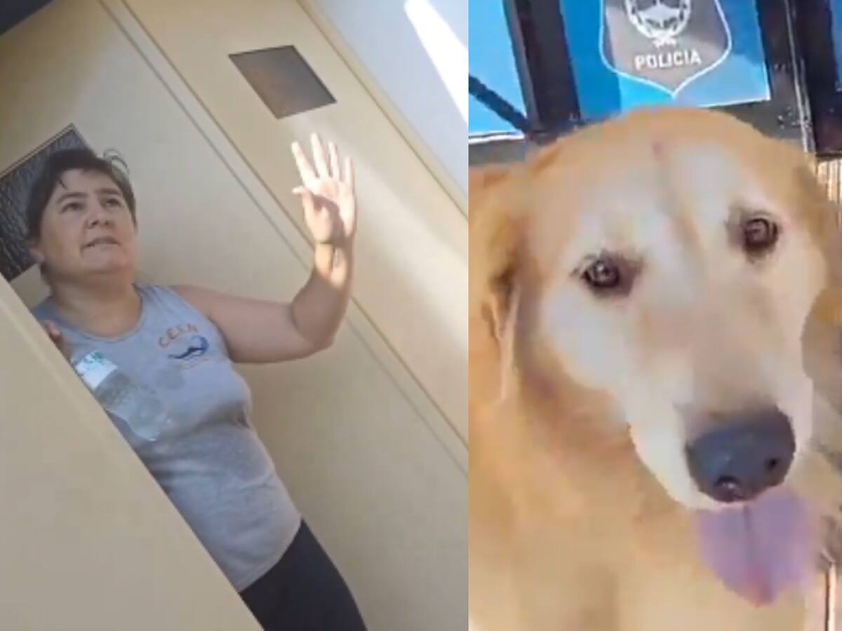 “Tiene buen pelaje”: conmoción en Argentina por mujer que llevó a su perro a carnicería para pedir que lo faenaran porque era lindo