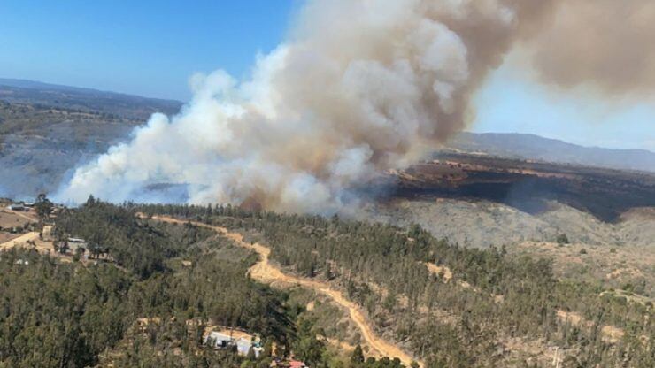 Alerta Roja incendio Algarrobo