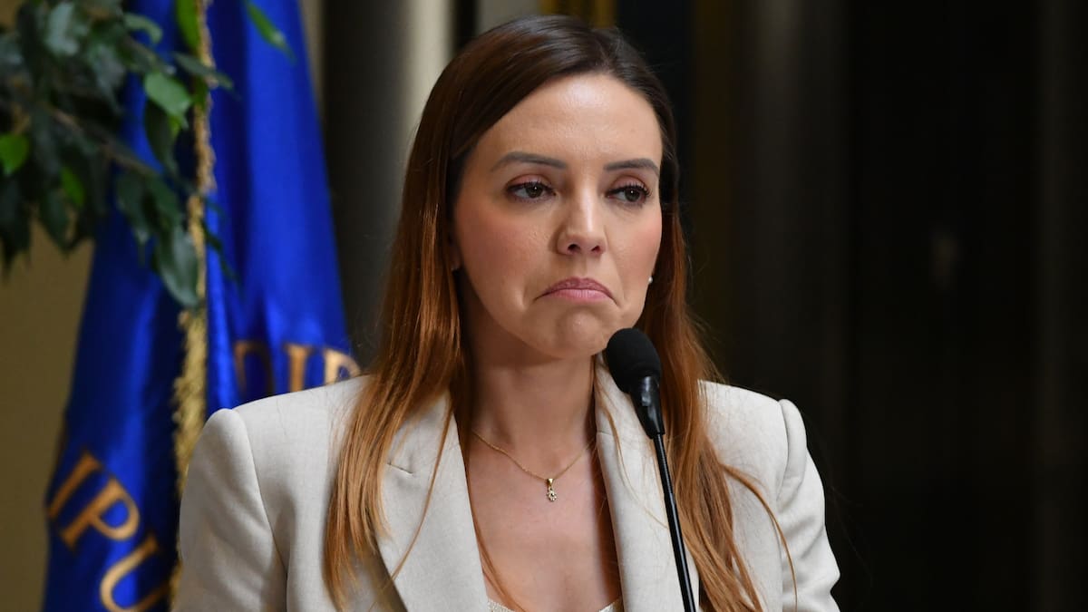 Fiscalía pide levantar secreto bancario de Camila Flores ante “posible maquinación destinada a defraudar al Fisco”