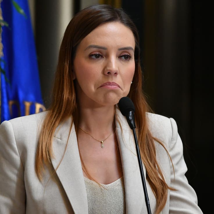 “La verdad siempre se abre paso”: la respuesta de la diputada Camila Flores tras ser investigada por fraude al Fisco