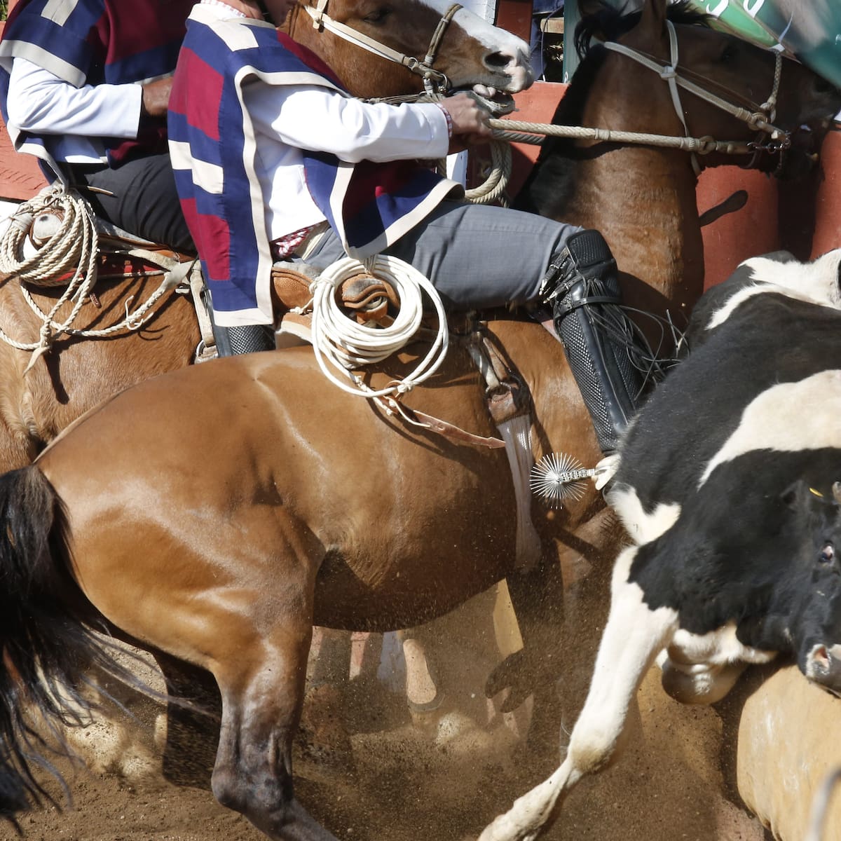 “Es un deporte que reúne a familias”: ministro Undurraga defiende el rodeo y lo califica como “una tradición chilena”