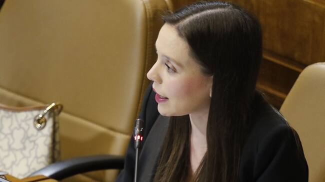 Agencia UNO | La diputada Camila Flores