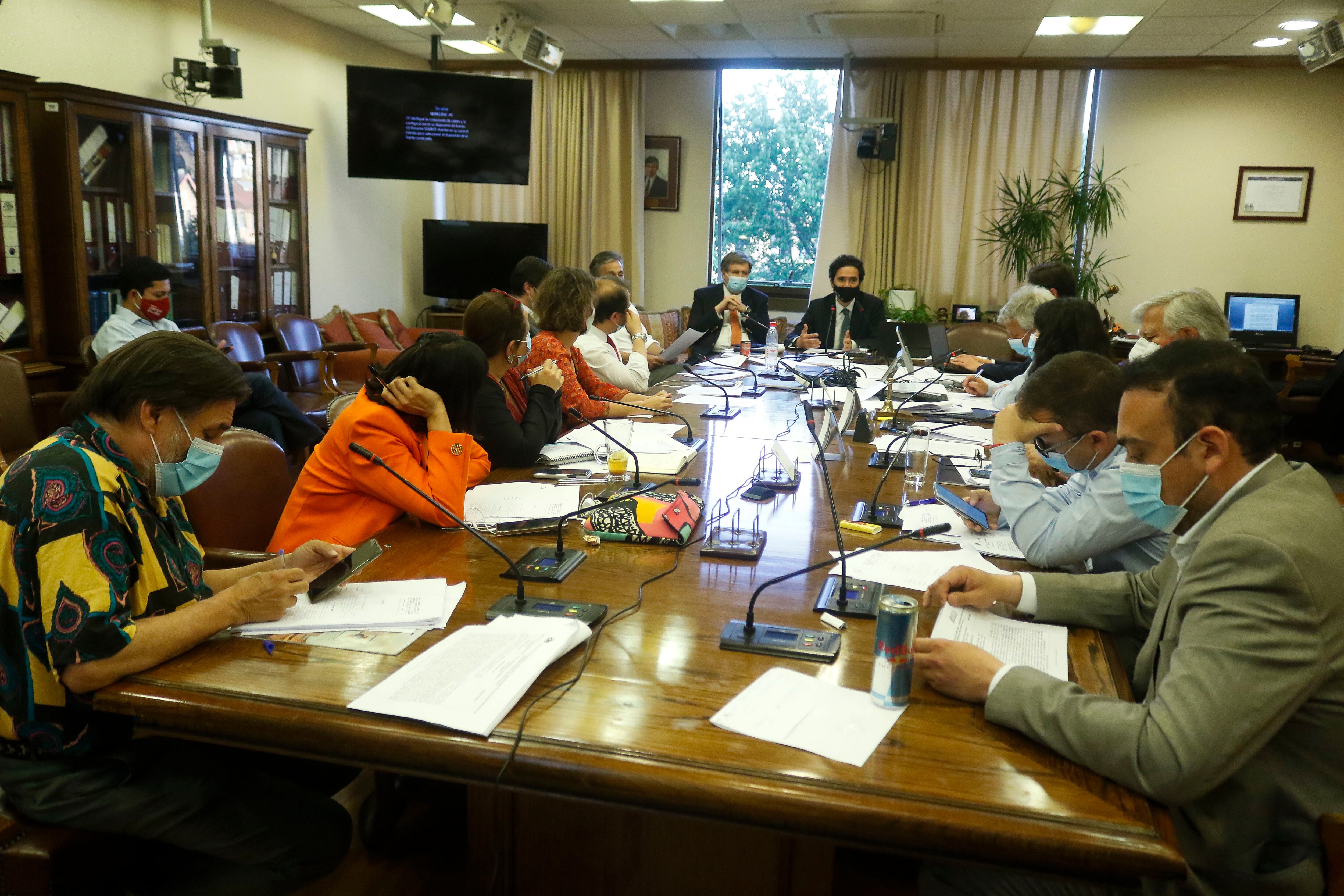 Comision de Trabajo de la Camara de Diputadas y Diputados