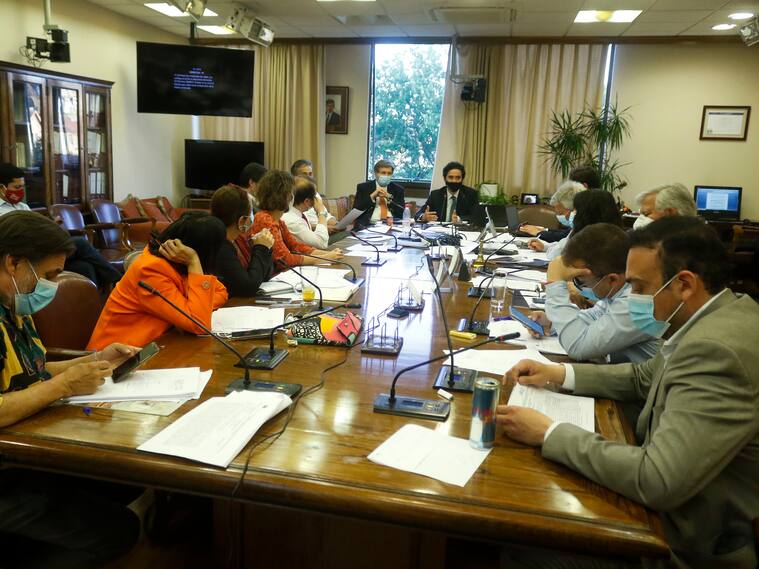Comision de Trabajo de la Camara de Diputadas y Diputados