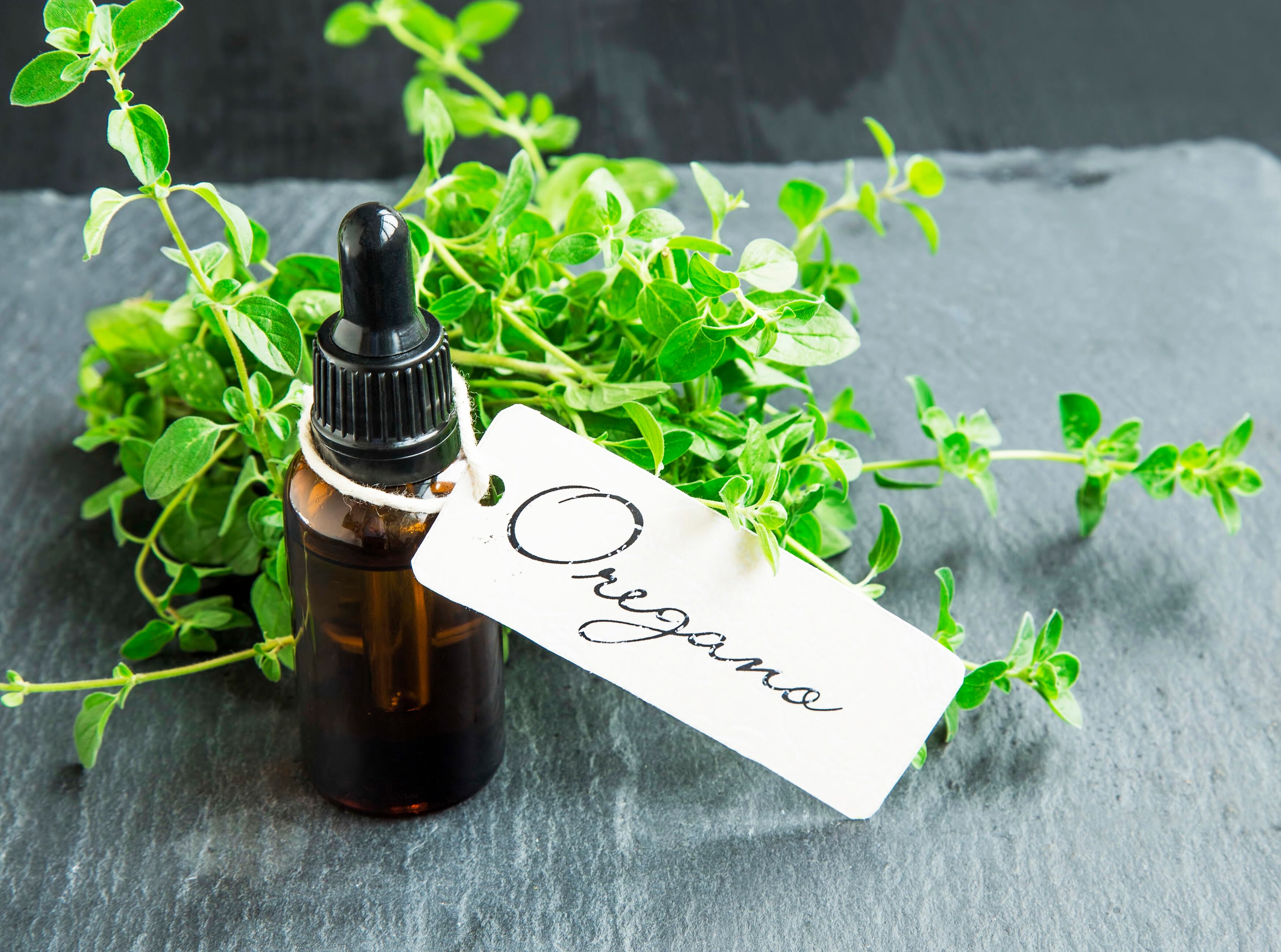 Aceite de orégano