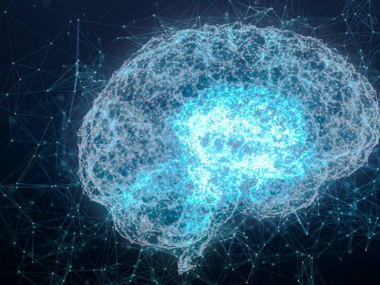 Estudio internacional demuestra que es posible detener el envejecimiento del cerebro